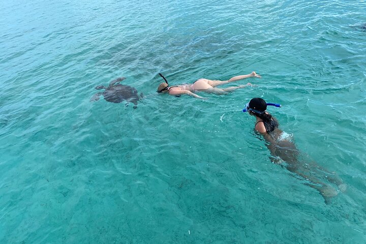 Privé Rose Island Swimming Pigs Snorkeling et tortues