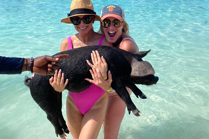 Privé Rose Island Swimming Pigs Snorkeling et tortues