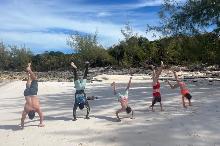 Privé Rose Island Swimming Pigs Snorkeling et tortues