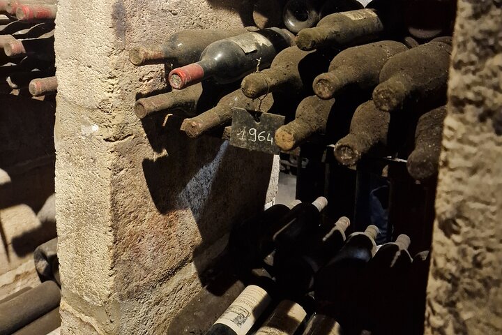 Saint-Émilion Wine Tour por bicicleta elétrica premium, almoço incluído