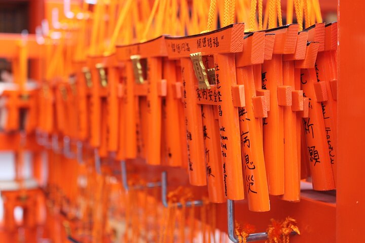 Strandutflykt: Privat heldagstur i Kyoto från hamnarna i Osaka/Kobe