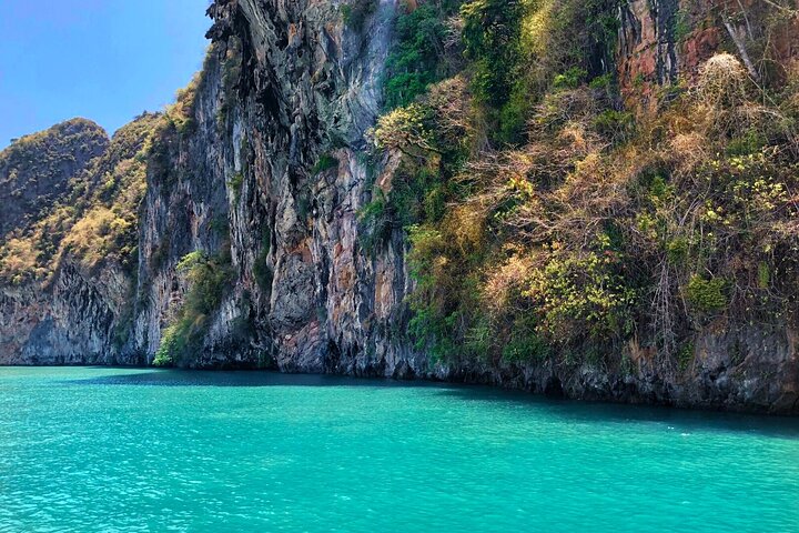 Phang Nga Bay privat bioluminescens og havkanotur