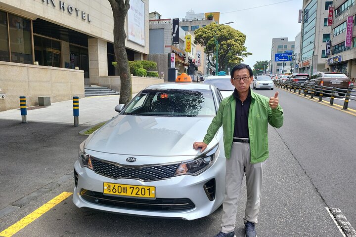 Tour privado de un día en el sur y el oeste en la isla de Jeju
