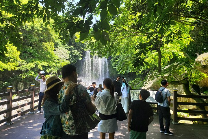 Tour privado de un día en el sur y el oeste en la isla de Jeju