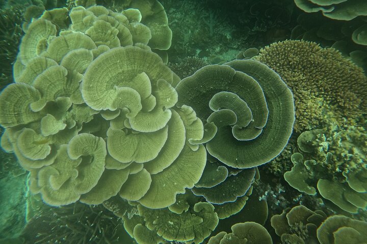 Tour de buceo en la isla de Coral de Tioman y Island Hopping