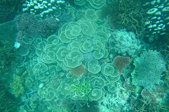Tour de buceo en la isla de Coral de Tioman y Island Hopping