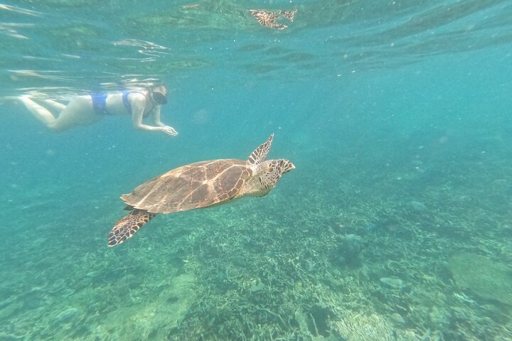Tour de buceo en la isla de Coral de Tioman y Island Hopping