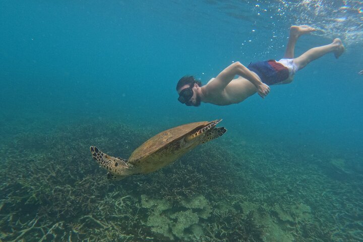 Tour de buceo en la isla de Coral de Tioman y Island Hopping