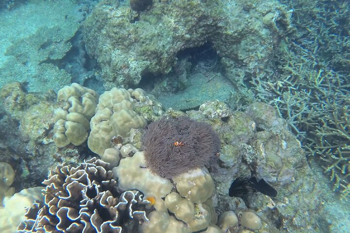 Tour de buceo en la isla de Coral de Tioman y Island Hopping