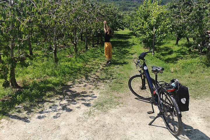 Selvguidet e-cykeltur blandt de palladiske villaer i Vicenza