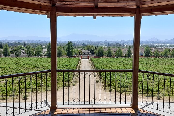 Private Vor-/Nach-Kreuzfahrttour durch Valparaiso und das Casablanca Wine Valley