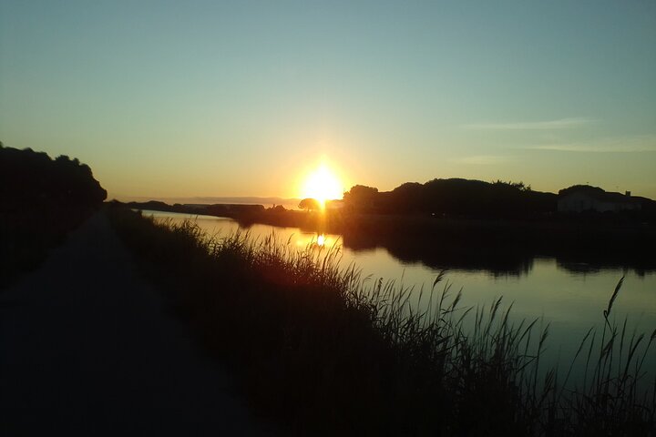 Feliz passeio pela Camargue, visita, passeio, excursão de bicicleta elétrica