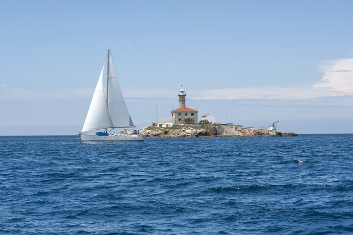 Tour privado en lancha rápida al fiordo de Lim y la isla Roja