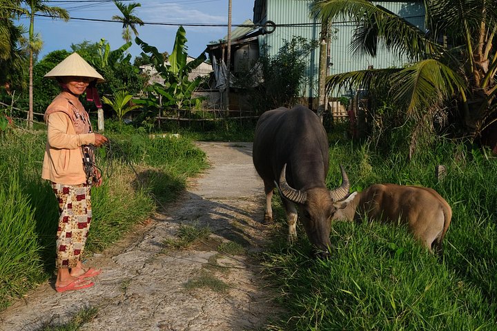 Tour in jeep della campagna di Hoi An: cibo, cultura e vita quotidiana