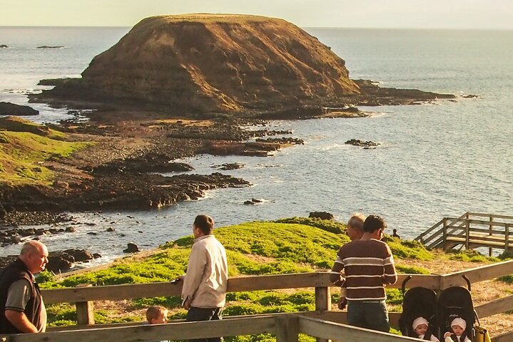 Recorrido en autobús por el desfile de pingüinos de Puffing Billy y Phillip Island