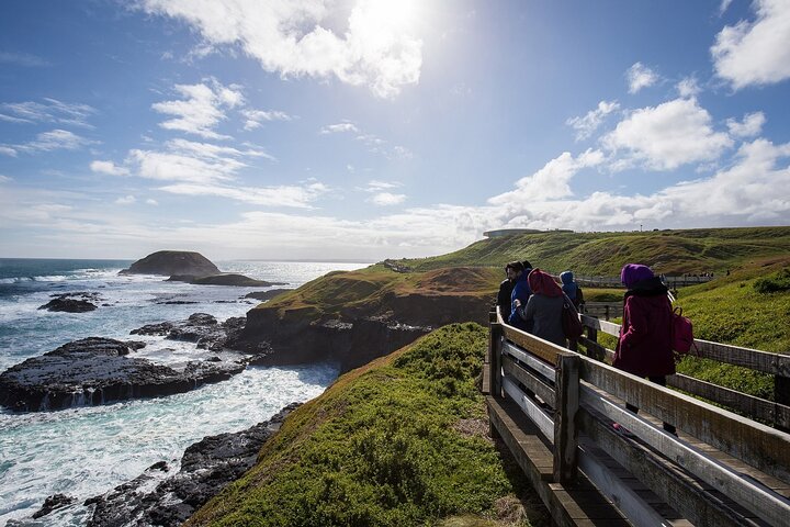 Recorrido en autobús por el desfile de pingüinos de Puffing Billy y Phillip Island