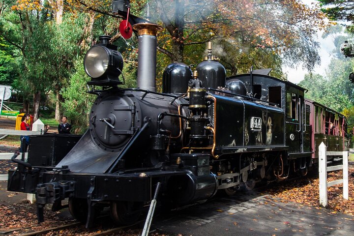 Recorrido en autobús por el desfile de pingüinos de Puffing Billy y Phillip Island