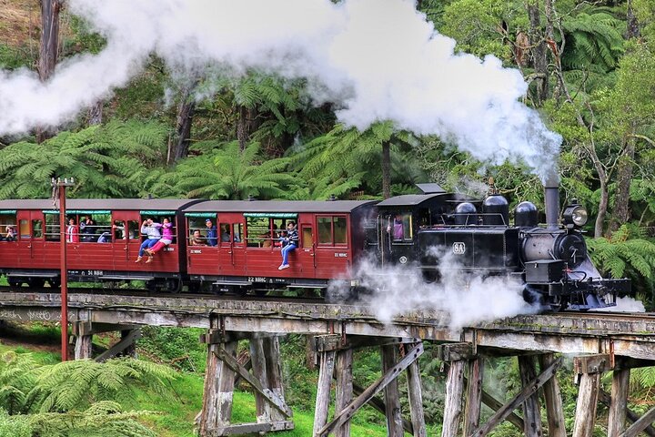 Recorrido en autobús por el desfile de pingüinos de Puffing Billy y Phillip Island