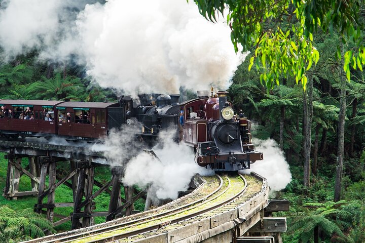 Recorrido en autobús por el desfile de pingüinos de Puffing Billy y Phillip Island