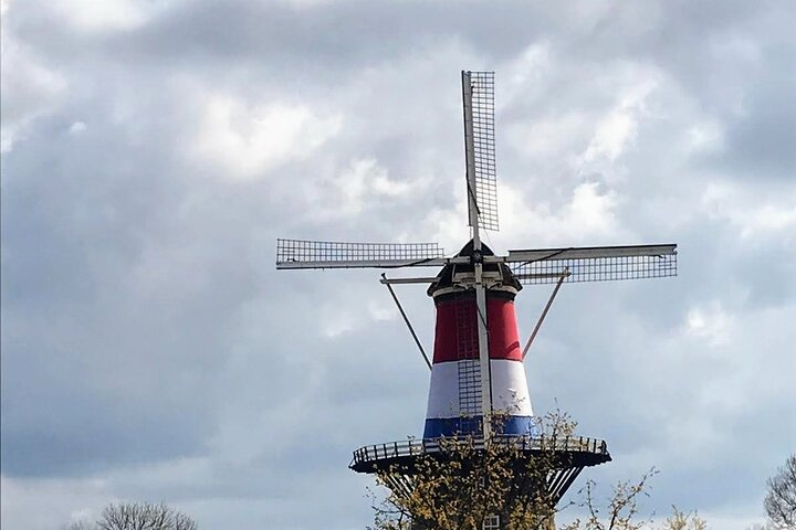 Tour de Leiden com Guia ao vivo e visita ao primeiro estúdio de Rembrandt