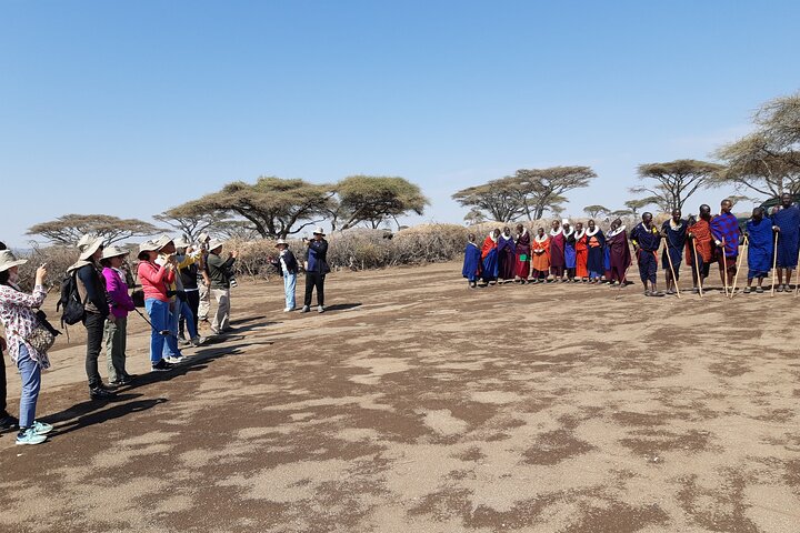 Tour privato di safari in game drive nel Maasai Mara