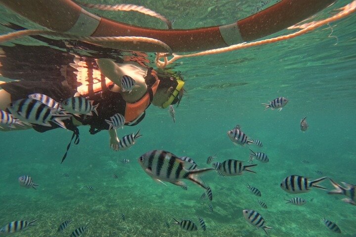 Koh Tao og Koh Nang Yuan Speedboat Tour fra Koh Phangan