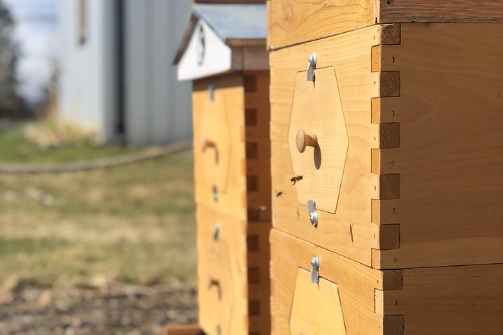 Okanagan Bee Tour et déjeuner dans une cave à Kelowna