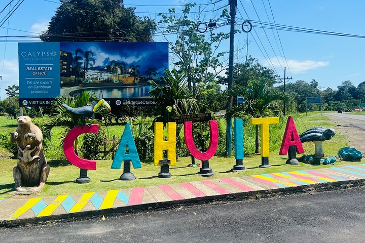 Medio día Canal de Tortuguero, Parque Nacional Cahuita y Puerto Limón