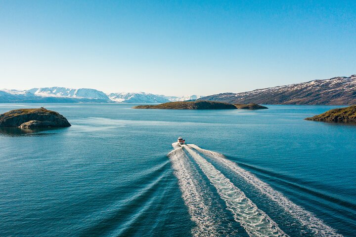 Alta: 2 timmars guidad äventyrskryssning i Altafjorden