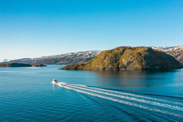Alta: 2 timmars guidad äventyrskryssning i Altafjorden