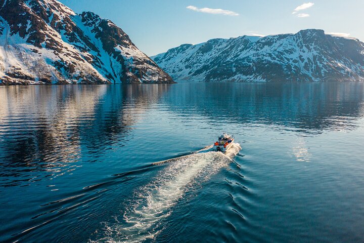 Alta: 2 timmars guidad äventyrskryssning i Altafjorden