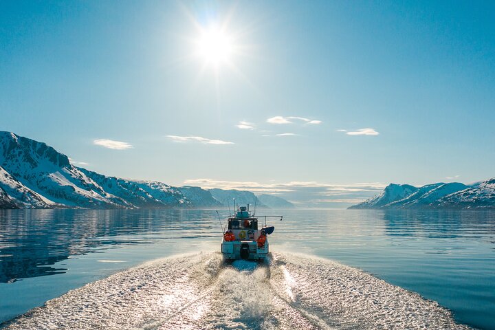 Alta: 2 timmars guidad äventyrskryssning i Altafjorden