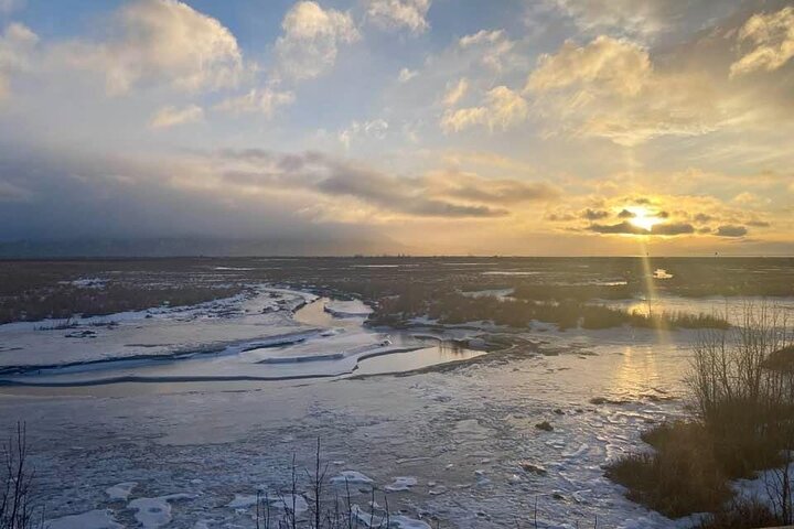 Tour avventuroso con vista sul ghiacciaio e fauna selvatica di Anchorage