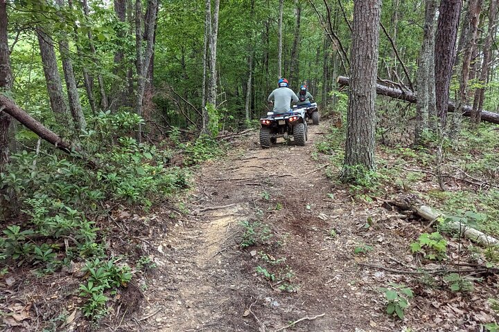 Experiencia guiada en vehículos todo terreno en el este de Tennessee