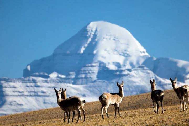 Tibet Tour 15 Tage Lhasa nach Kailash Trekking Kleingruppe via EBC
