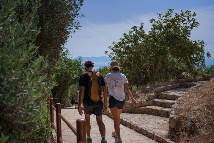From Paphos: Aphrodite's Baths and Blue Lagoon (Akamas) Day Trip