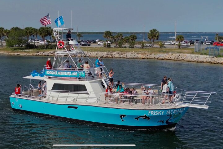 Crociera con delfini condivisi a Pensacola Beach | Frisky Mermaid