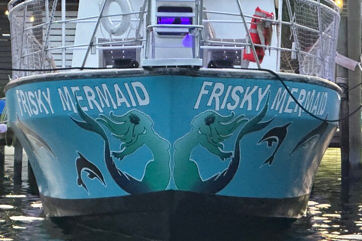 Crociera con delfini condivisi a Pensacola Beach | Frisky Mermaid