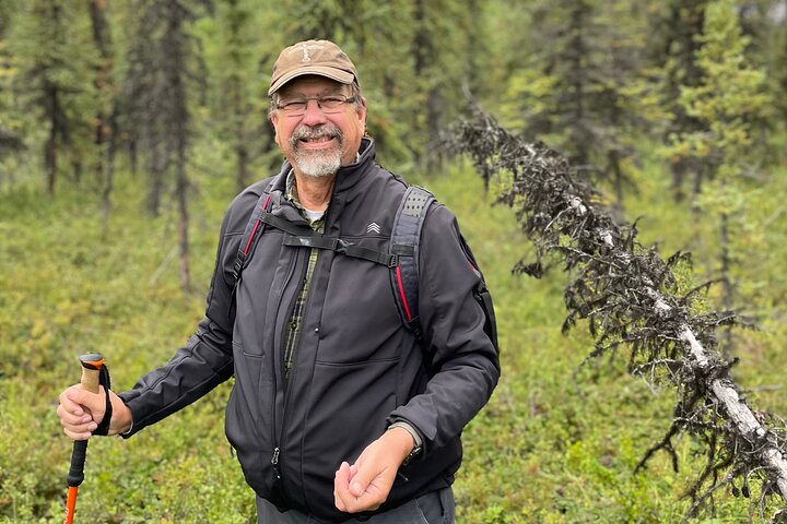 Denali Park Nature Walk (3 horas) w / naturalista especialista