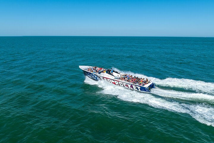 45-minütige Sea Rocket Speed Boat & Dolphin Cruise in Ocean City MD