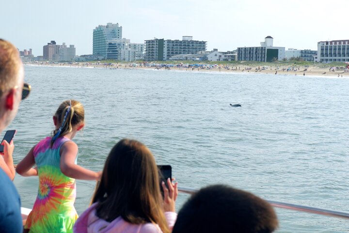 45-minütige Sea Rocket Speed Boat & Dolphin Cruise in Ocean City MD