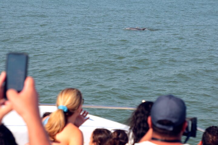 45-minütige Sea Rocket Speed Boat & Dolphin Cruise in Ocean City MD