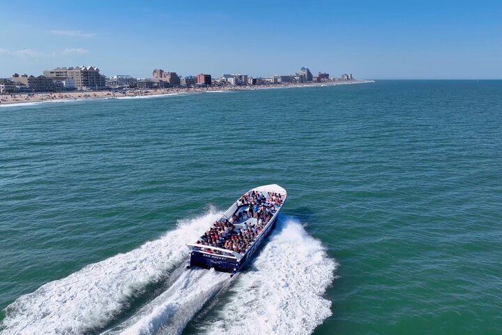 45-minütige Sea Rocket Speed Boat & Dolphin Cruise in Ocean City MD