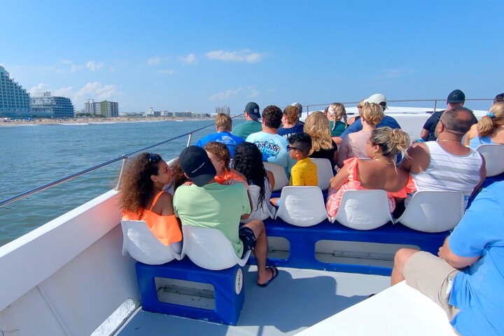 45-minütige Sea Rocket Speed Boat & Dolphin Cruise in Ocean City MD
