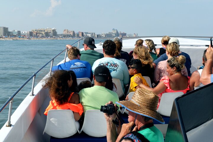 45-minütige Sea Rocket Speed Boat & Dolphin Cruise in Ocean City MD