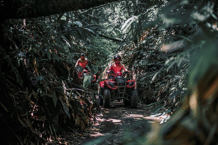Tour en Quad ATV en Ubud Cueva del Gorila y Almuerzo