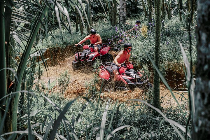 Tour en Quad ATV en Ubud Cueva del Gorila y Almuerzo