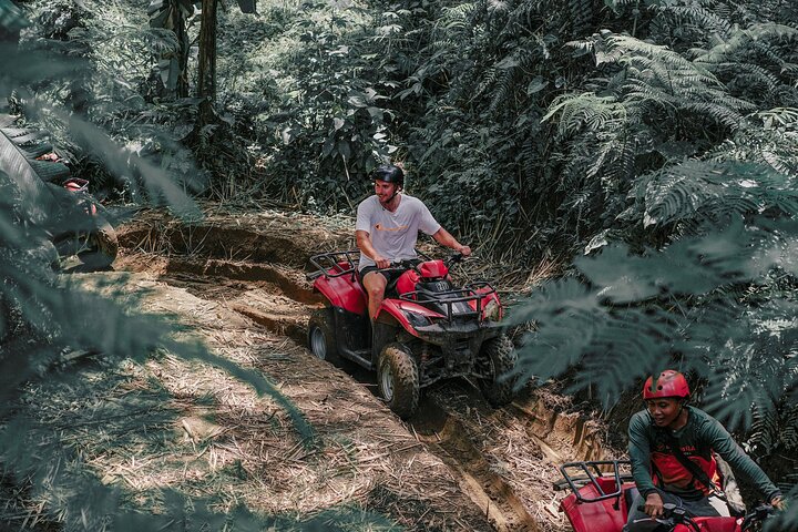 Tour en Quad ATV en Ubud Cueva del Gorila y Almuerzo