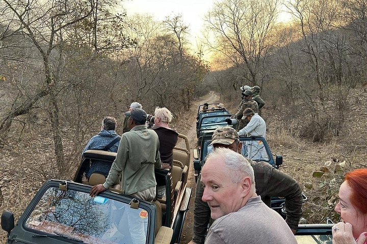 Ranthambore - Deling Tiger Safari i Canter 20 seter kjøretøy