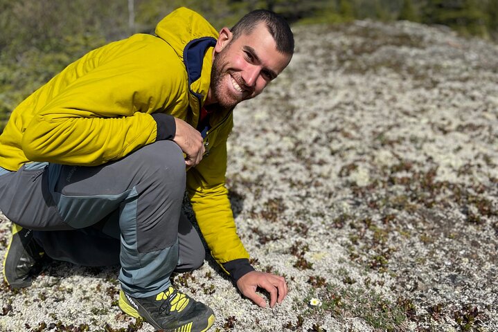 Denali Park Nature Walk (3 horas) w / naturalista especialista